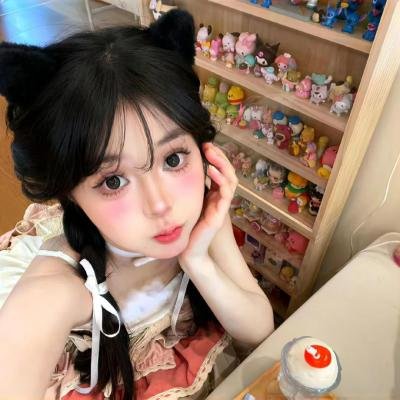 完美伴侣