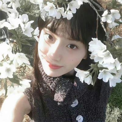 香车宝马