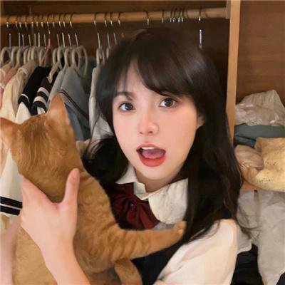 至死方休